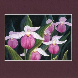 Pink Lady Slippers Print – Botanical Art Print – Nature Painting – Orchid Art Work – Floral Art Print – Floral Home Decor – Archival Print